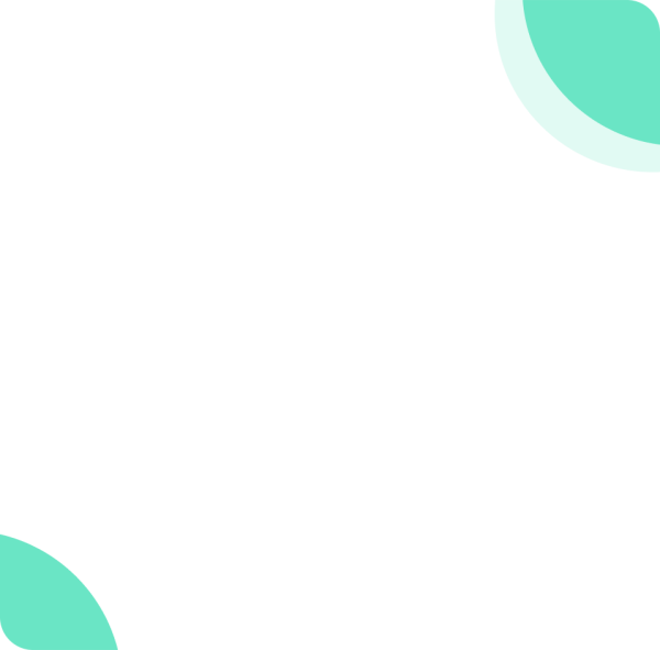 Custom Software Design & Development | Shark Design