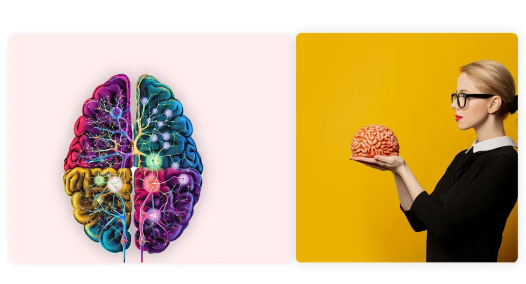 Industrial design and neuroscience